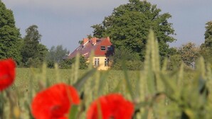 Une maison avec un toit rouge et des murs blancs, entourée d’arbres et d’un champ de fleurs rouges.