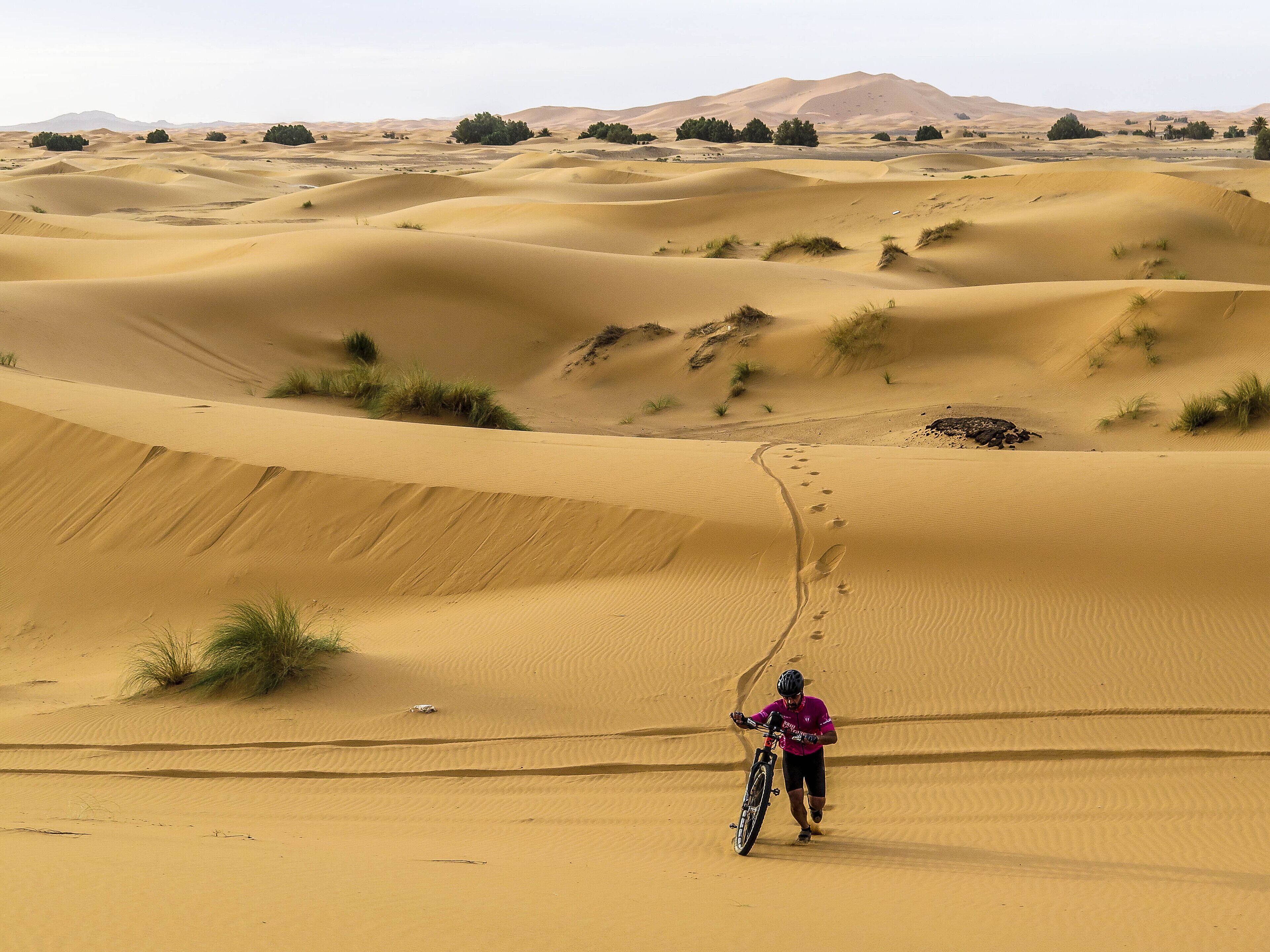 A person riding a bike across sand dunes with a mountain in the background.