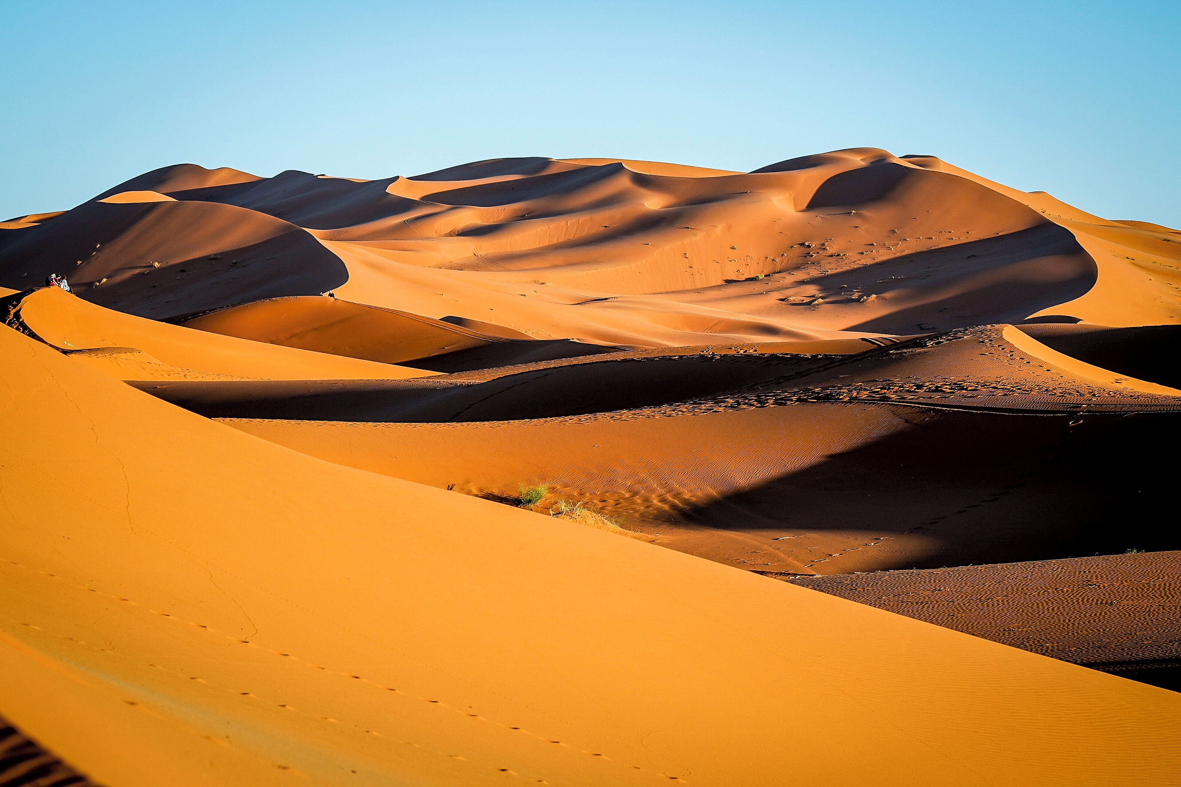 Vista des de l'habitació