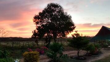 Cabin, 2 Bedrooms, Smoking, Terrace | Exterior