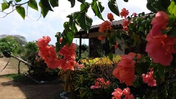 Cabin, 2 Bedrooms, Smoking, Terrace | Garden