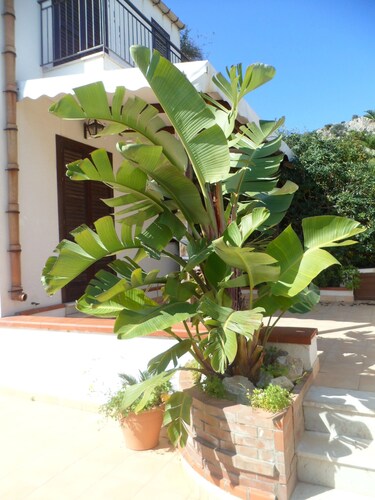 Villa in San Vito lo Capo With Internal Parking, Minaudo Estate Agency