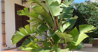 Villa in San Vito lo Capo With Internal Parking, Minaudo Estate Agency