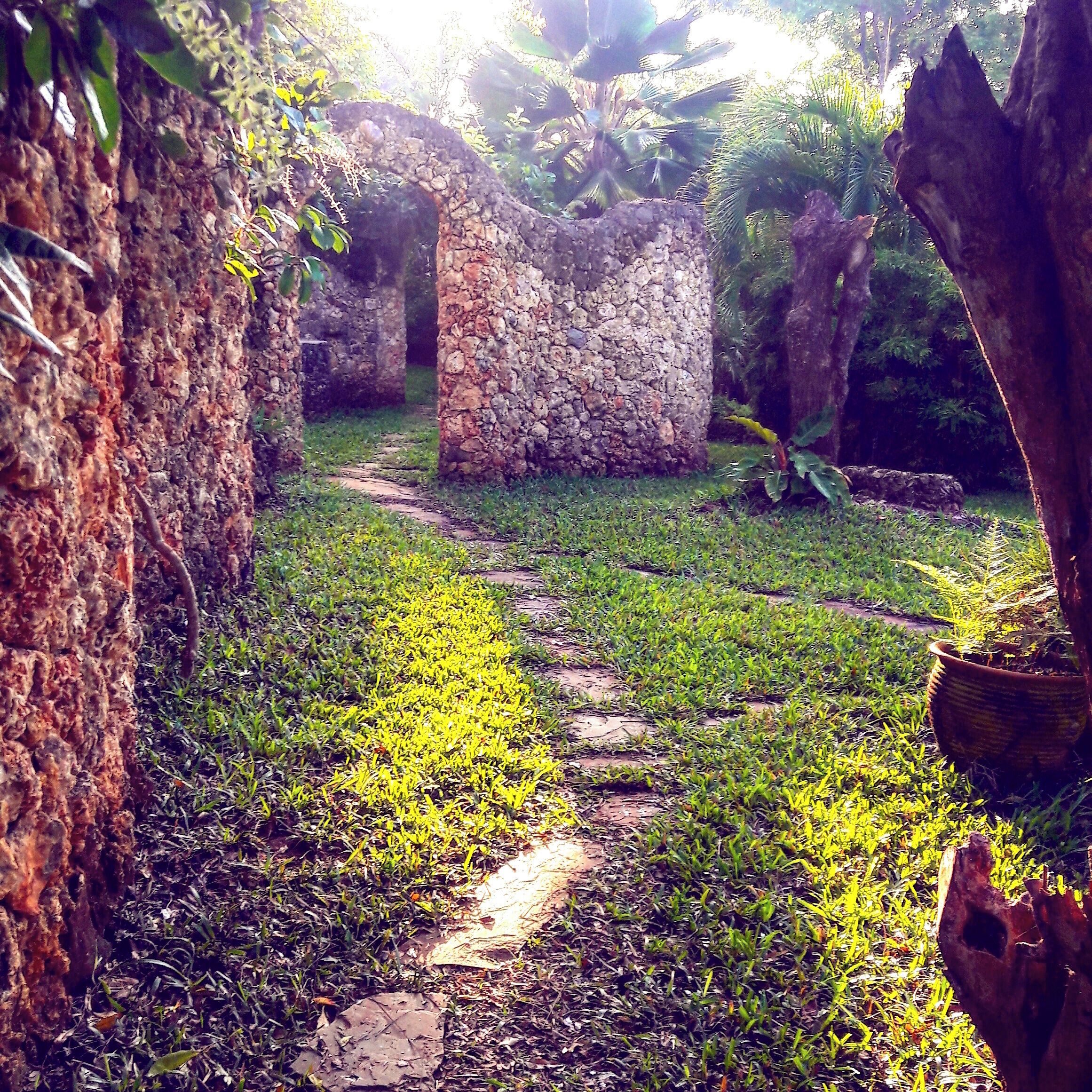 Villa, 2 chambres, vue sur le jardin | Terrain de l’hébergement 