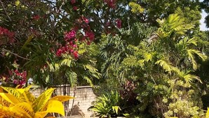 A pool surrounded by lush greenery and flowering plants. - Tiwani Sunset, a Little Piece of Eden (Tiwi)