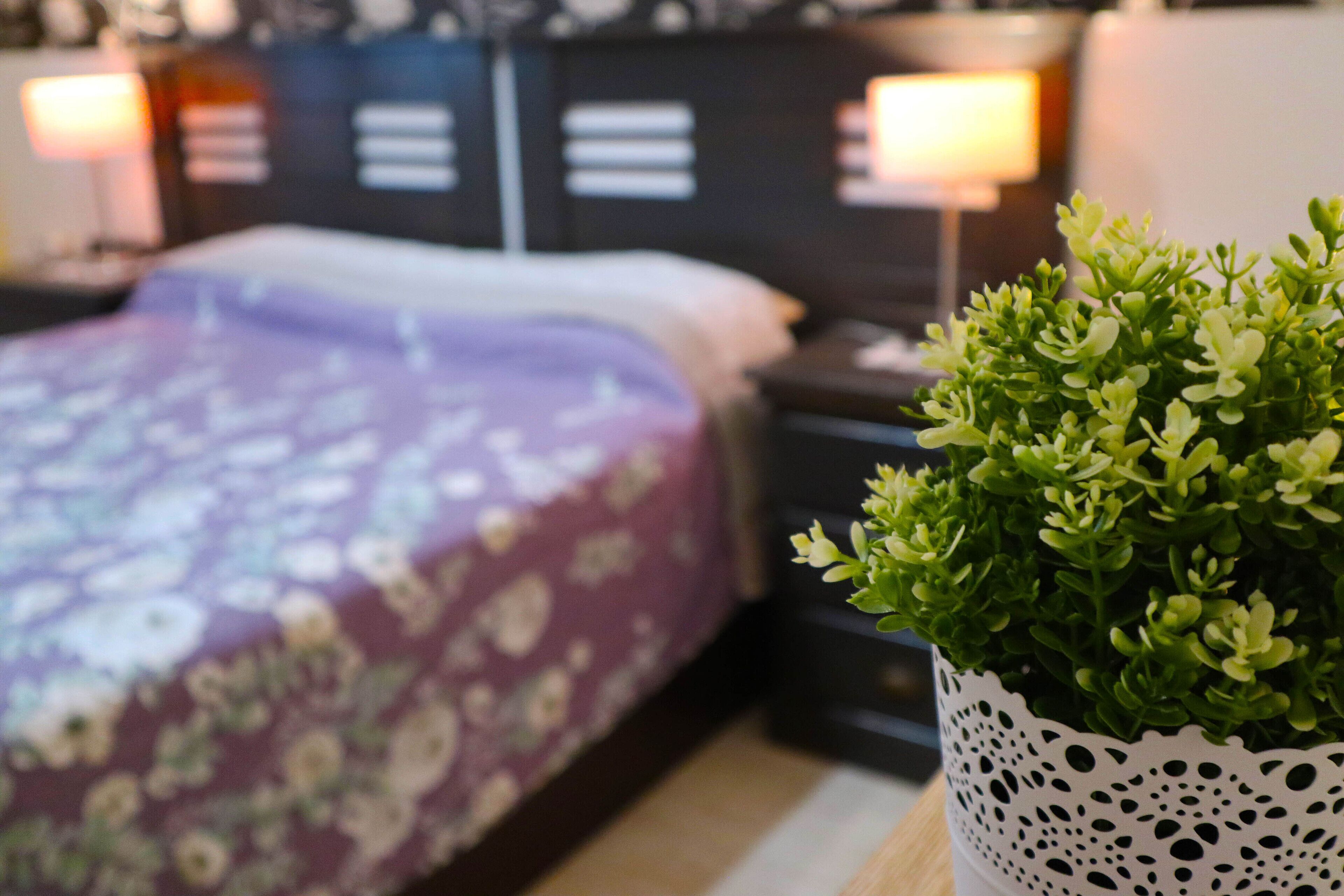 Photo - Happy Room Tenerife