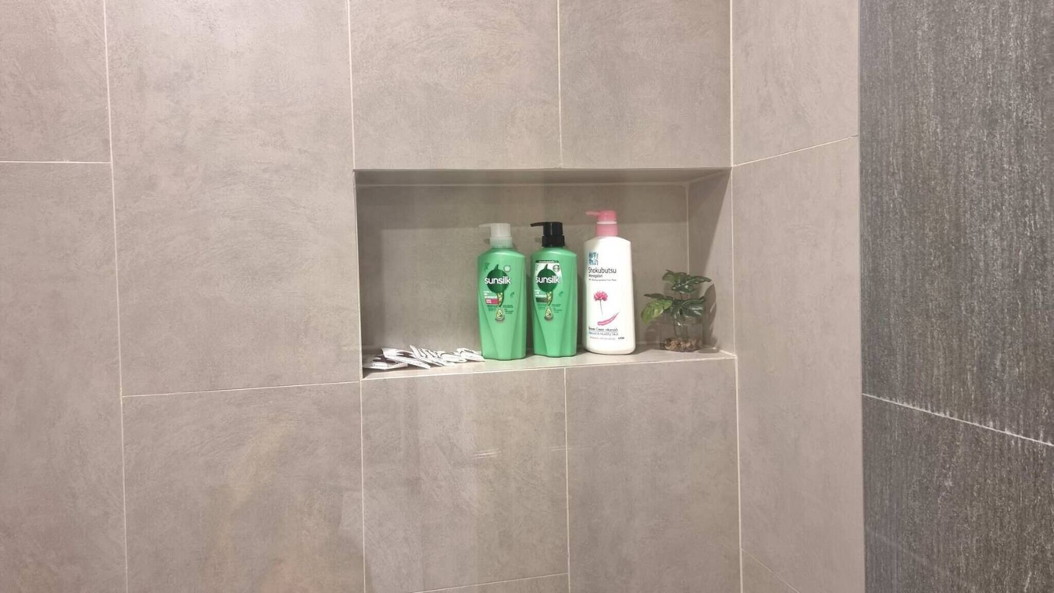 A bathroom with a shelf holding three bottles of shampoo and conditioner, and a small plant.