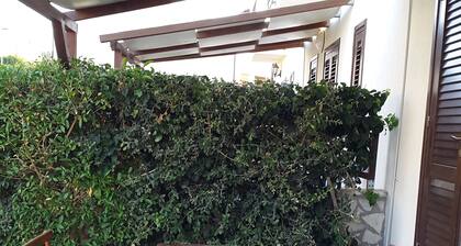 Villa in Lido di Cornino, Custonaci Trapani Minaudo Rentals
