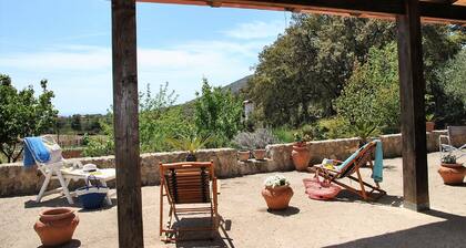 Villa Cycas Relaxation in Nature