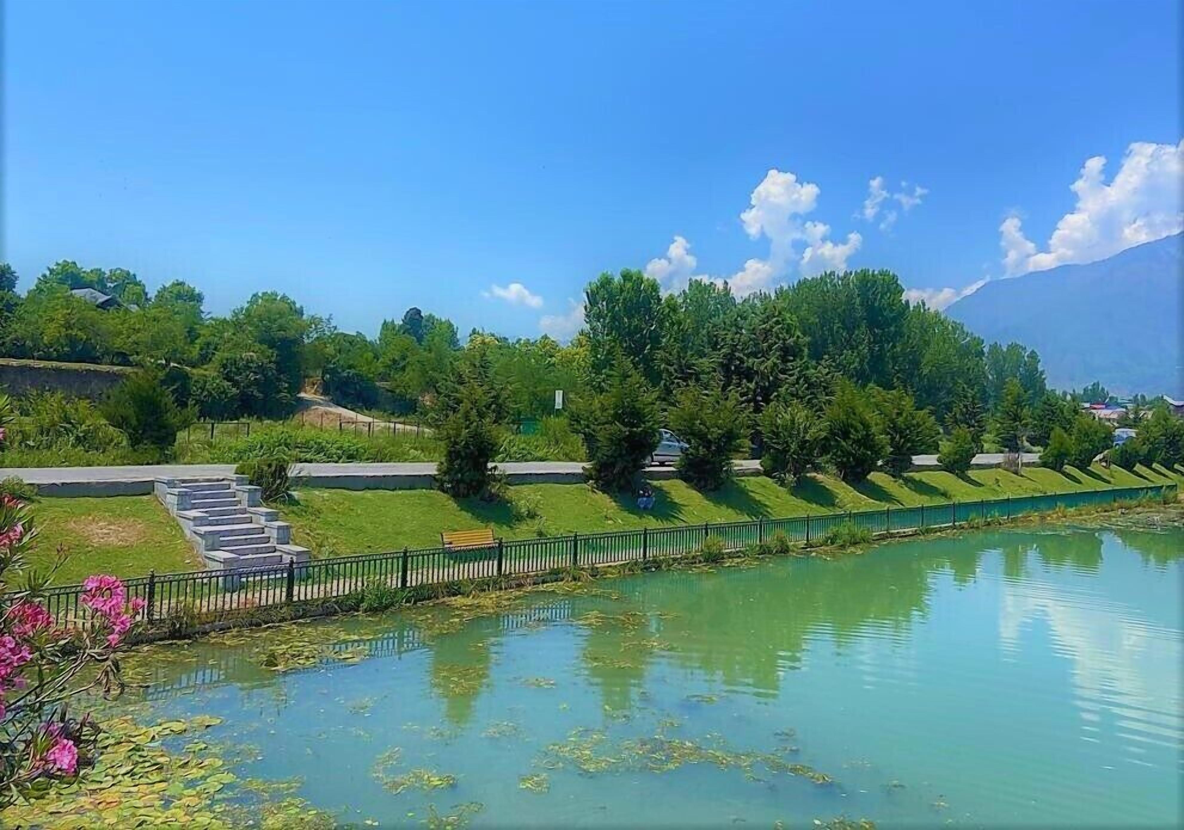 Un paisaje sereno con un lago tranquilo, un sendero y abundante vegetación.