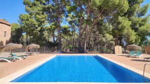 Ein rechteckiger Swimmingpool mit klarem, blauem Wasser, umgeben von Liegestühlen und Sonnenschirmen, mit Bäumen im Hintergrund.