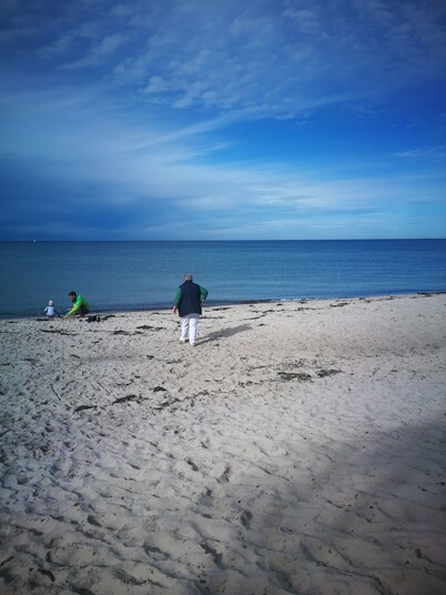 FW directly at the Darßer Wald Prerow, ideal for dog owners!