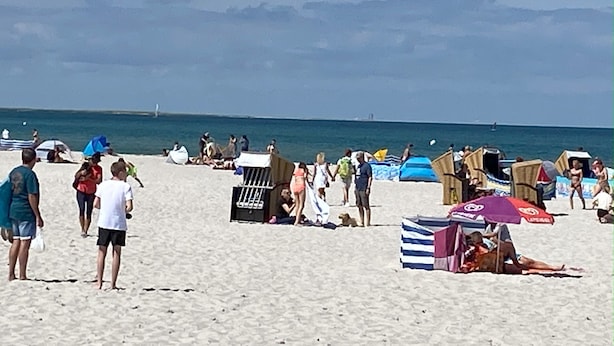 A beach with people, umbrellas, and beach chairs.