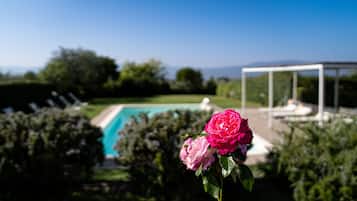 Outdoor pool, sun loungers