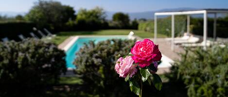 Piscine extérieure, chaises longues