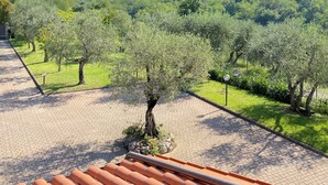 A view from a rooftop terrace with a paved walkway, olive trees, and a distant mountain range under a clear sky. - Tuscan Villa, Gated Pool, Total Privacy, Panoramic Views, EV Charger (Reggello)