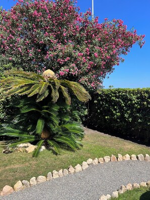 Details aan de buitenkant