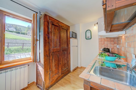 Standard Studio, Mountain View (Studio Clotes Ski In - Ski Out) | Private kitchen | Fridge, microwave, oven, stovetop