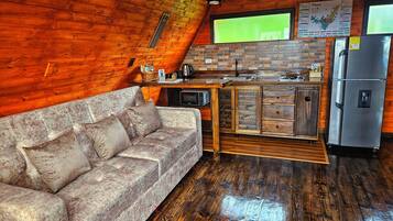 Exclusive Cabin | Living area | 32-inch LED TV with digital channels, fireplace
