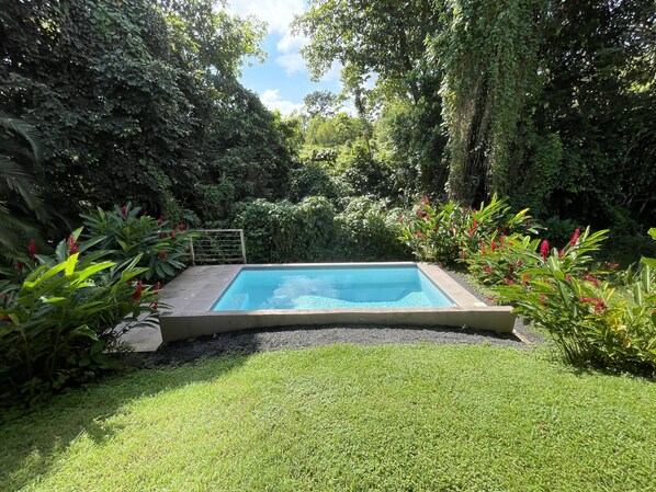 A rectangular swimming pool surrounded by lush greenery and a well-maintained lawn.