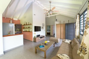 Fernseher, DVD-Player, Bücher, Videothek