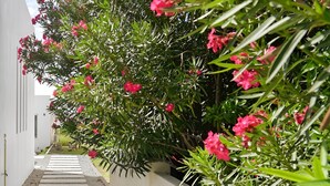 Un camino bordeado de abundante vegetación y flores rosadas que lleva a un edificio blanco.