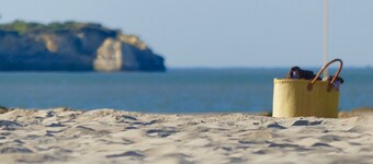 Superb 4-person apartment facing the beach