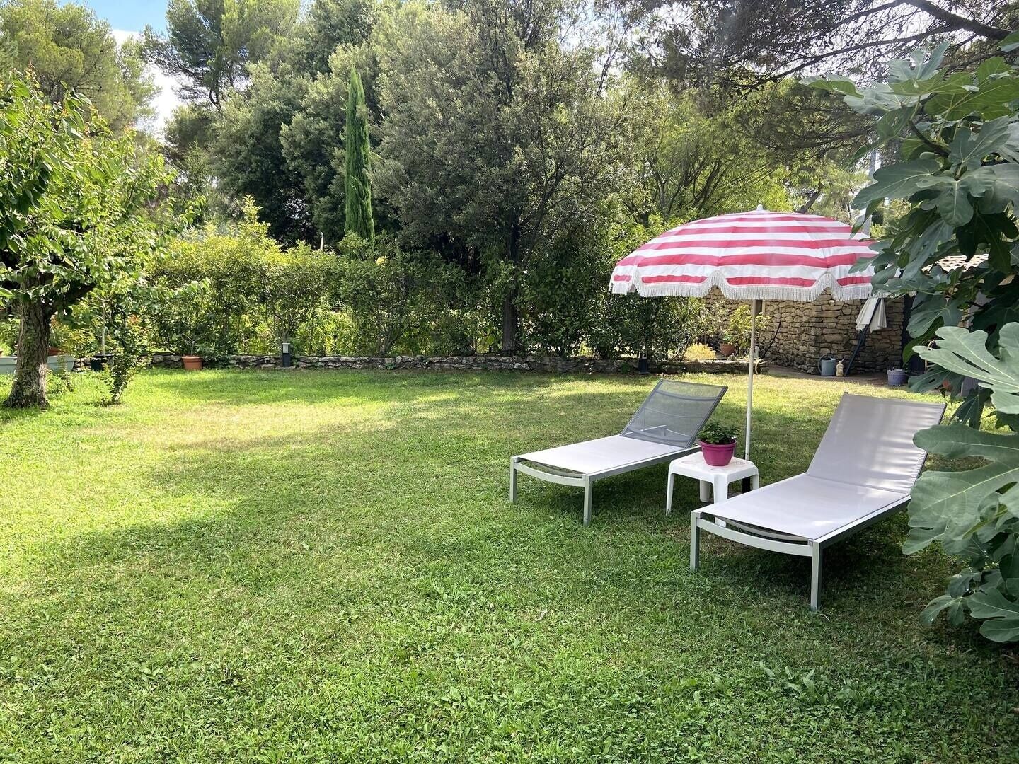 Un jardín trasero con césped, dos sillones blancos y un paraguas a rayas rojas y blancas.