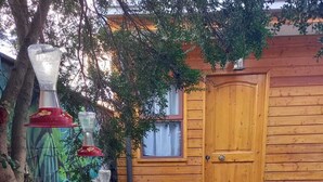 Una puerta de madera, un pequeño jardín con una fuente para pájaros y un árbol.