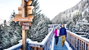 Un panneau indicateur en bois, muni de flèches directionnelles pointant vers Forsthofalm et Ossmannalm.