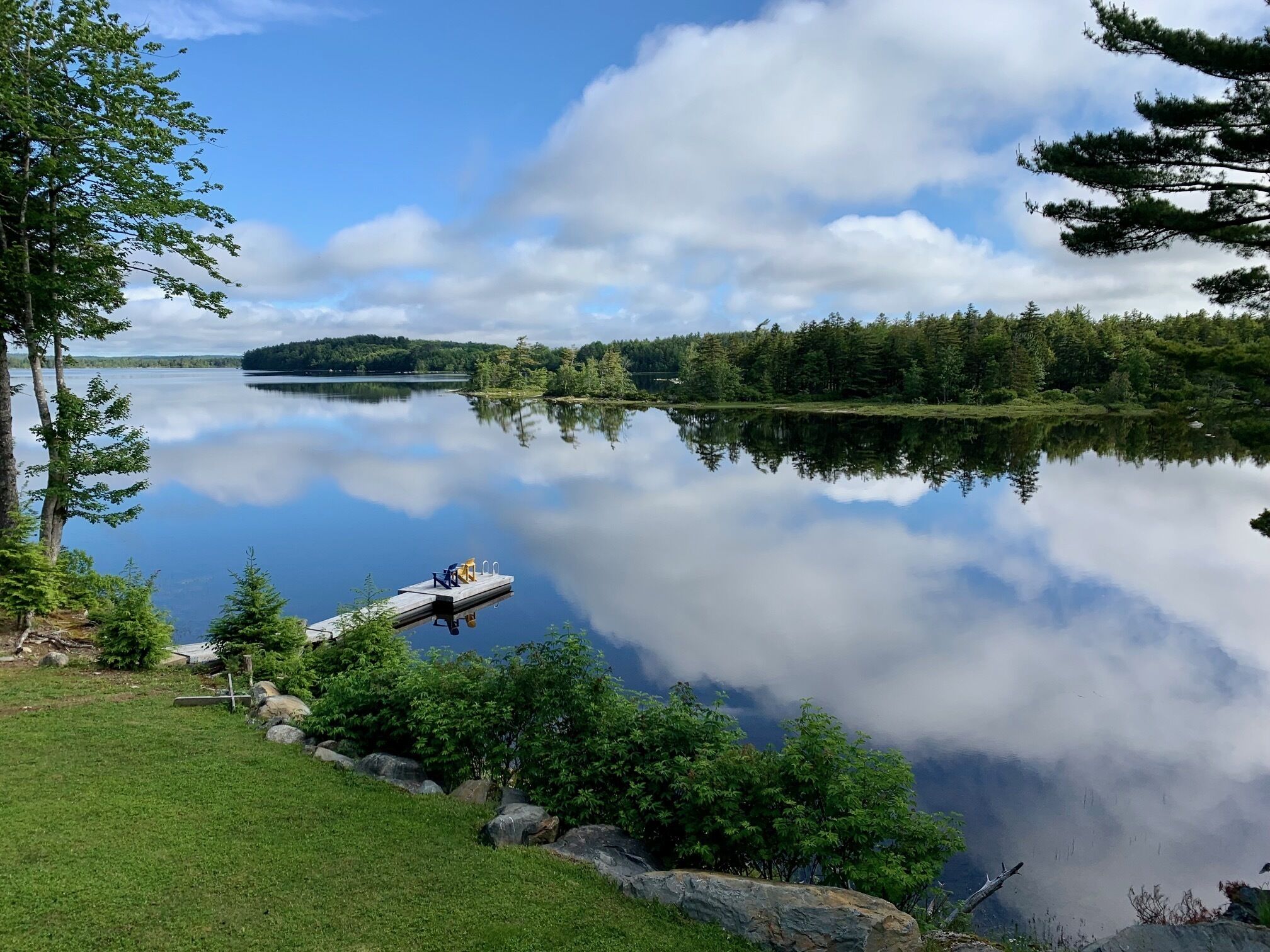 En stilla sjö med en brygga, omgiven av frodig grönska och träd.