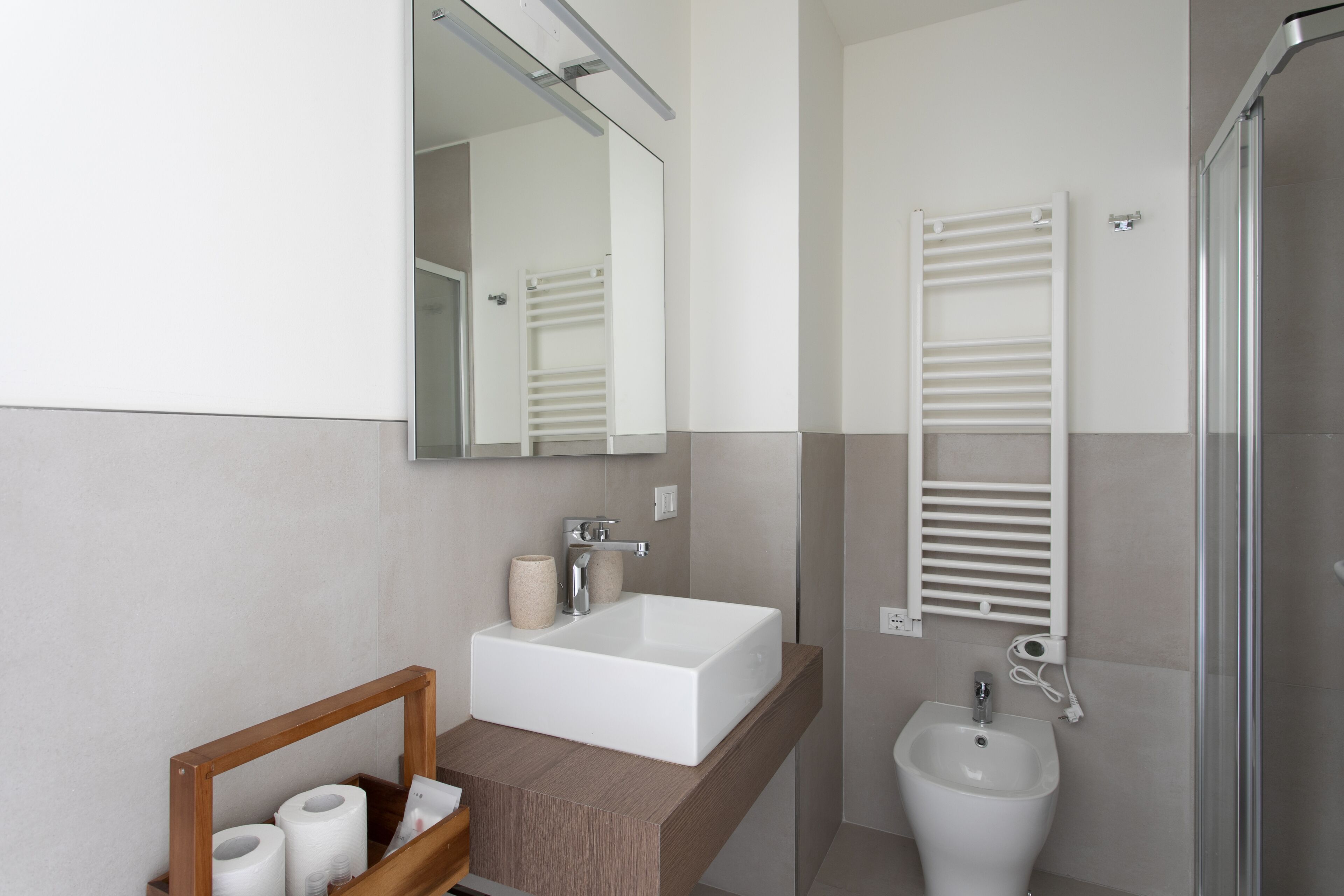 Shower, hair dryer, bidet, towels