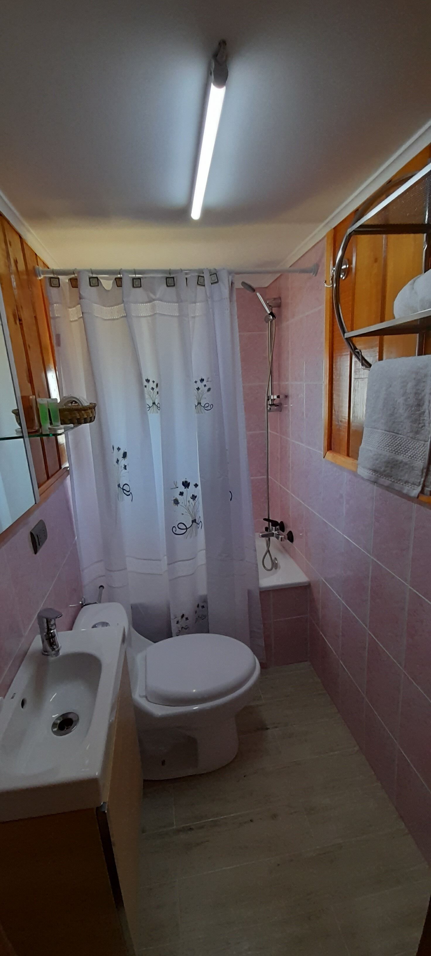 Een badkamer met toilet, wastafel, douche en een handdoekrek.