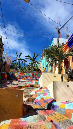 Terrein van de accommodatie