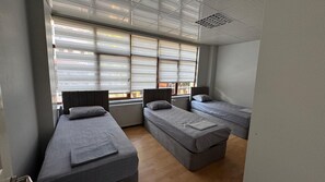Habitación estándar | Espacio para trabajar con laptop y insonorización 