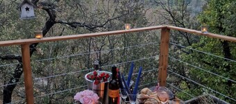 A sweet week in a tree house in Provence