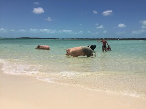 Sun-loungers, beach towels - Lovely 2-bedroom cottage with sea views located in Exuma, Bahamas (Hartswell)