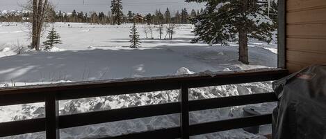 Une terrasse en bois offrant une vue sur un paysage enneigé et des arbres.