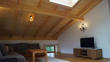 Televisio, pöytätennispöytä, kirjoja