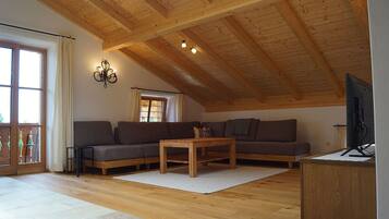 TV, ping pong, books