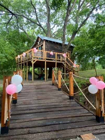 Fun & Magical Treehouse