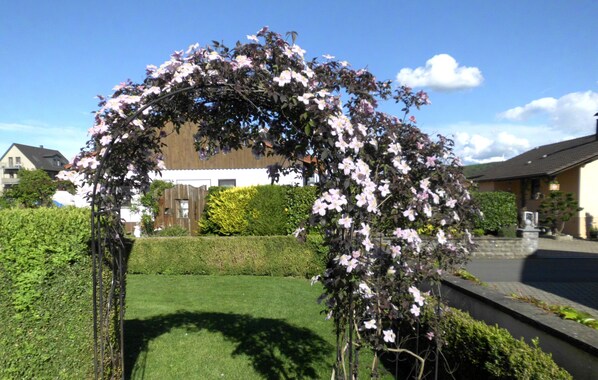 المنطقة المحيطة بالمنشأة