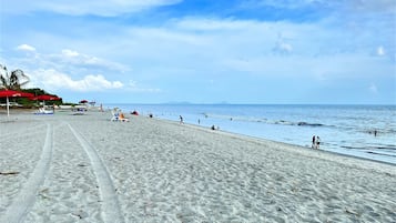 Playa privada, sombrillas, windsurf y 2 bares en la playa