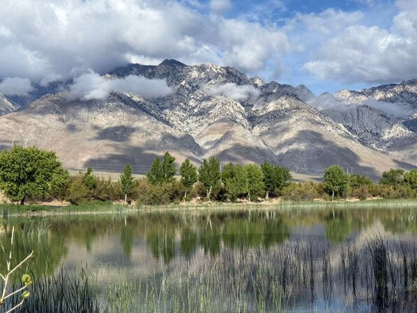 منوع