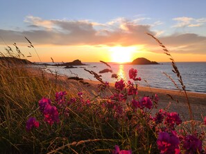 Une plage avec des fleurs roses au premier plan et un coucher de soleil sur l’océan.