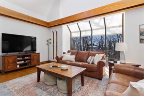 TV connectée, cheminée, lecteur de DVD, livres