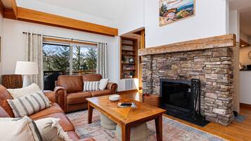 TV connectée, cheminée, lecteur de DVD, livres