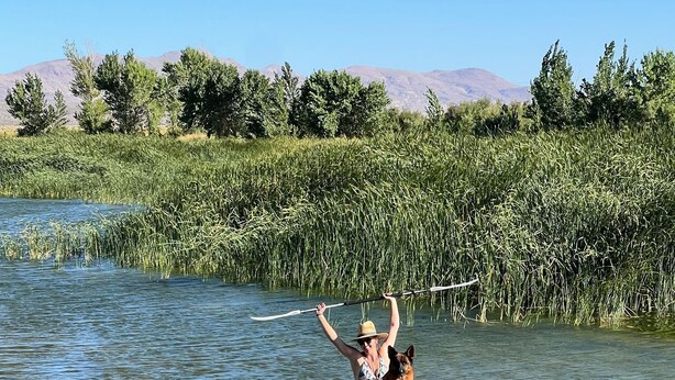 Two people kayaking on a calm river with a dog on a blue kayak. - Near Eastern Sierras RV Campsite #13 at Lake Olancha (Olancha)
