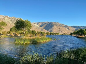 Miscellaneous - Near Eastern Sierras RV Campsite #13 at Lake Olancha (Olancha)