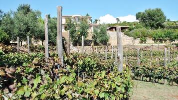 Villa, 3 Bedrooms, Patio, Mountain View | Exterior